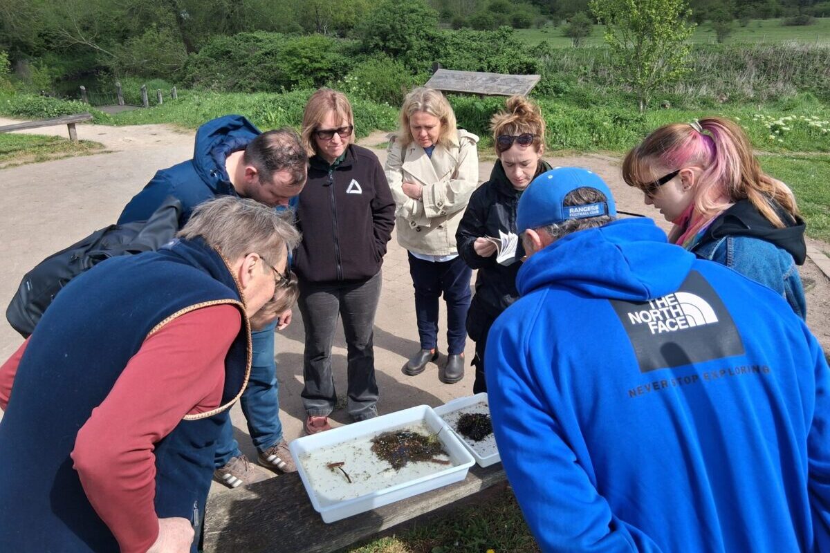 People outside looking into a tray of river water