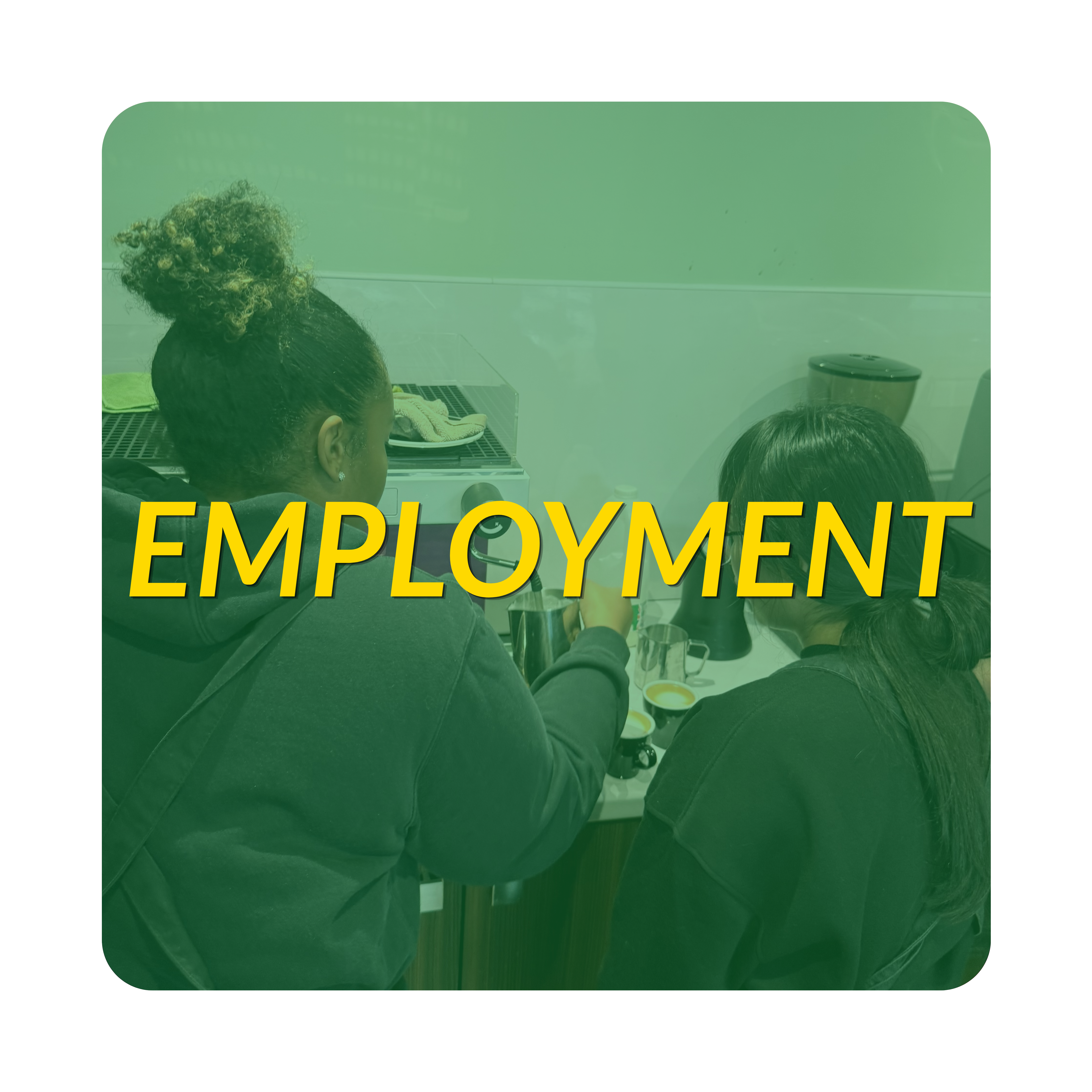 Employment projects button