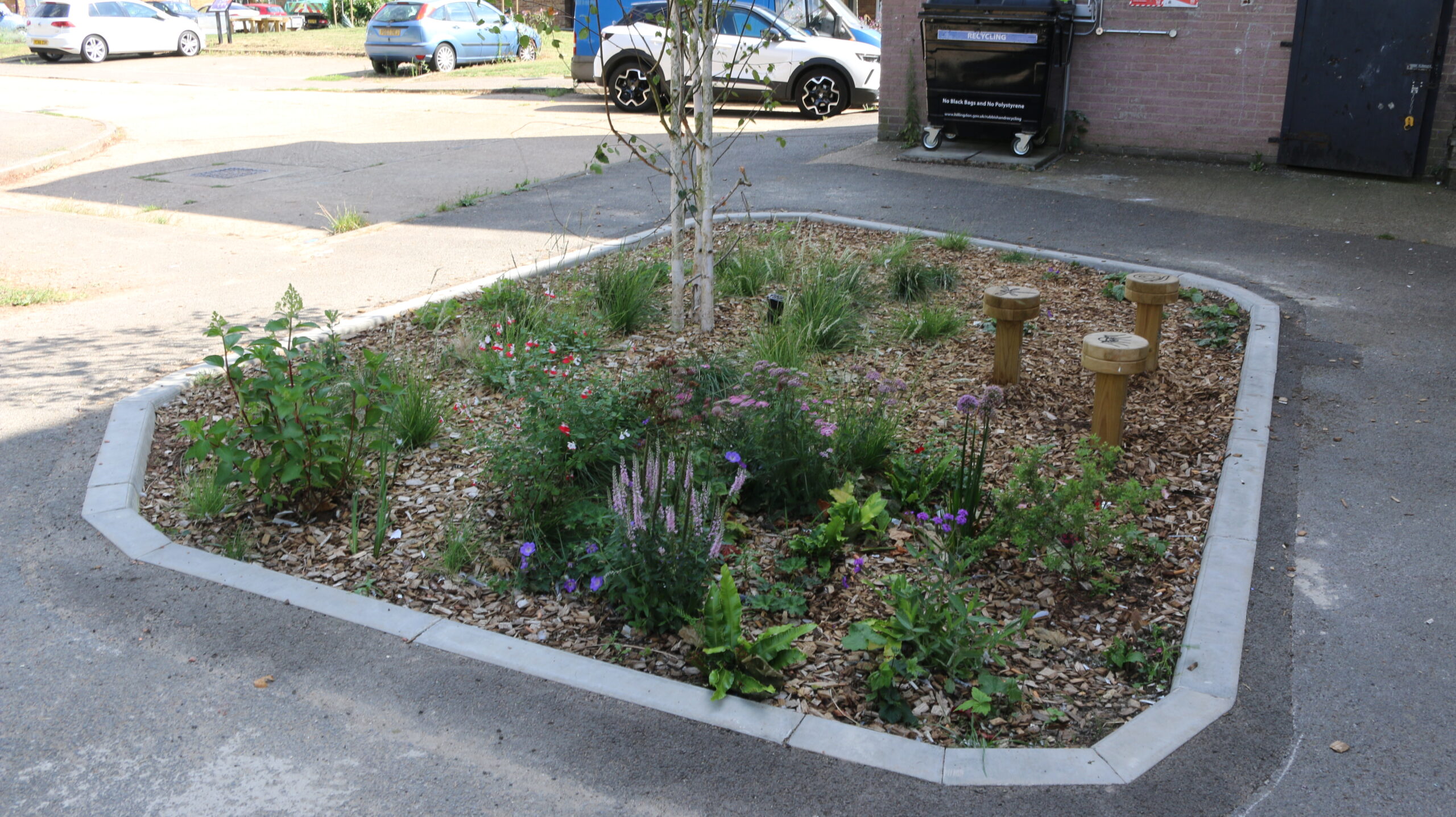 Green Blue You: Building Sustainable Drainage Systems in Hillingdon