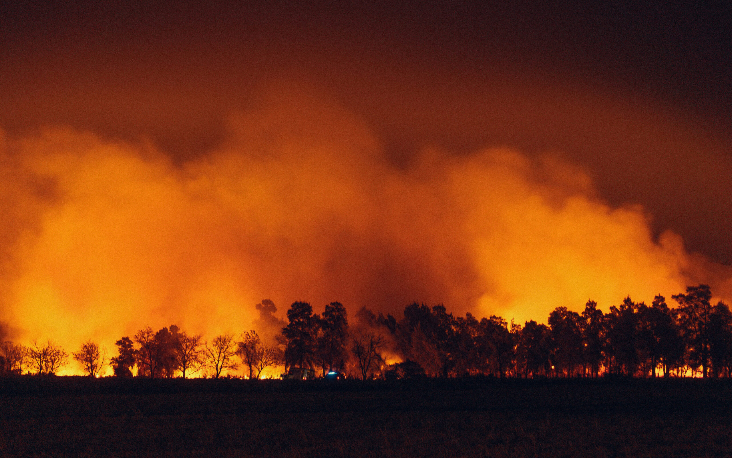 Photo of forest fire at night, with orange flames and smoke by treeline