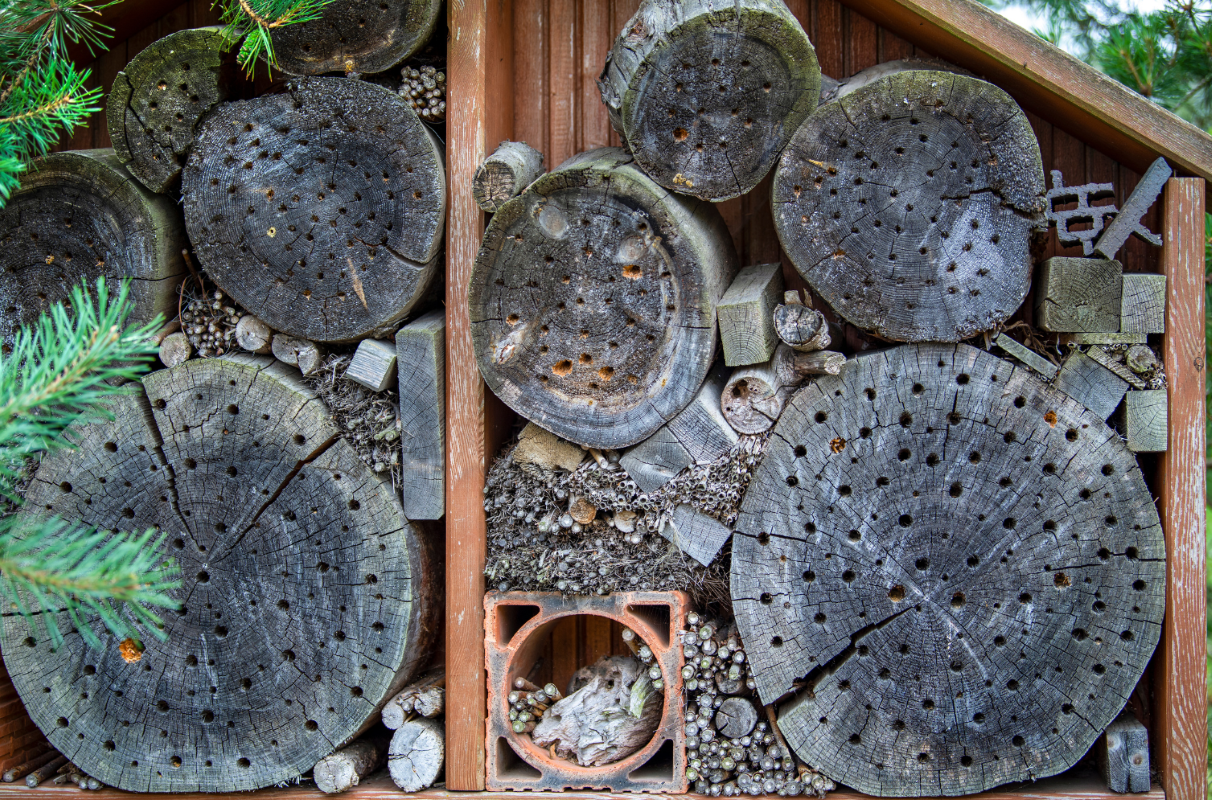 Close up of a large bug hotel