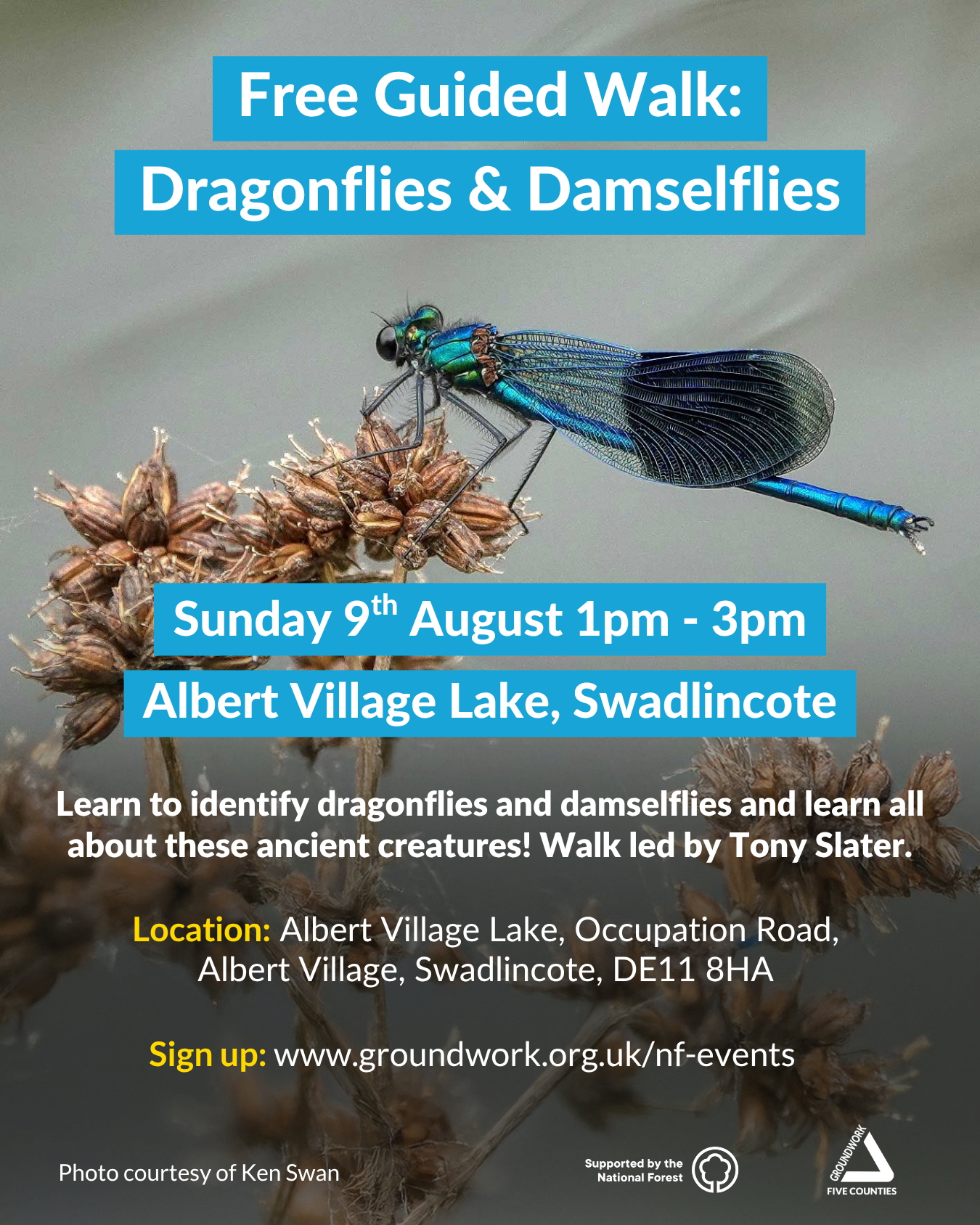 Photo of blue dragonfly, blue and white text about event with white logos at bottom