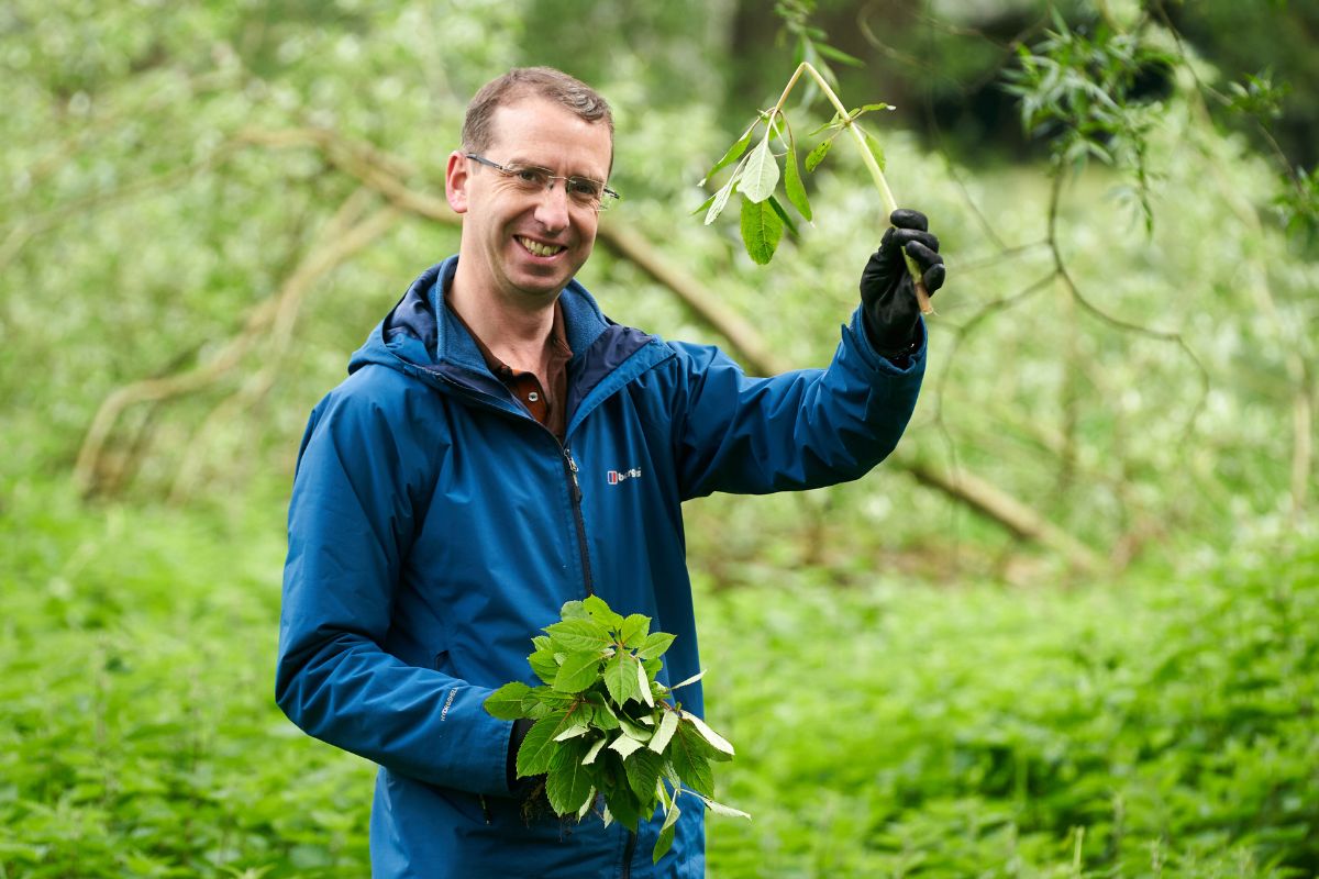 River Colne Revival: A reduction in invasive plants provide optimism for rare chalk stream