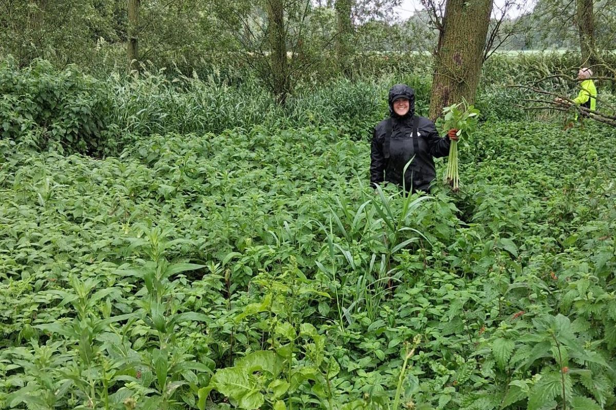 Volunteer standing by a riverbed