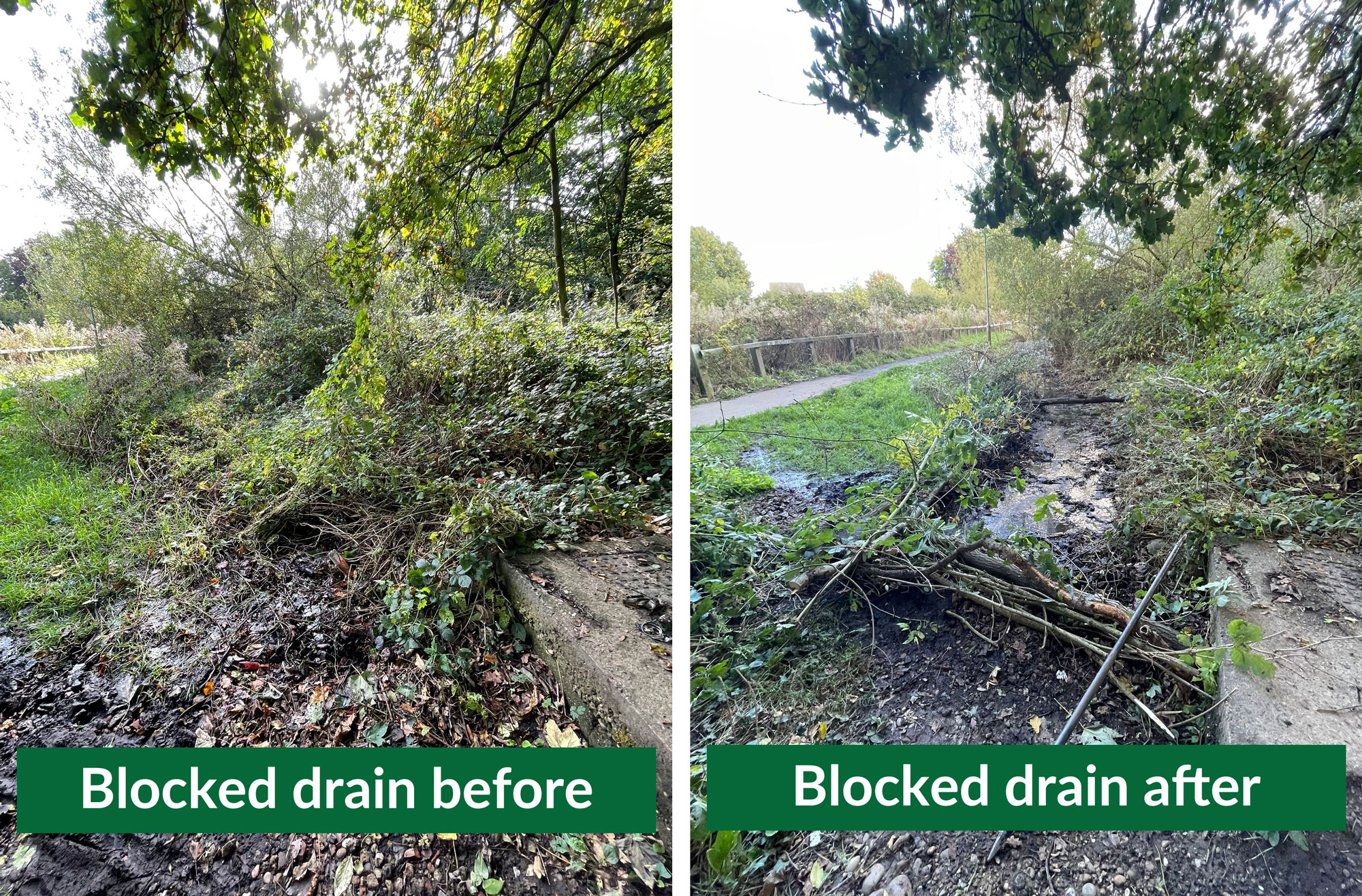 Collage of two photos. Left shows overgrown vegetation in green space, the right shows the vegetation cleared and a drain visible.