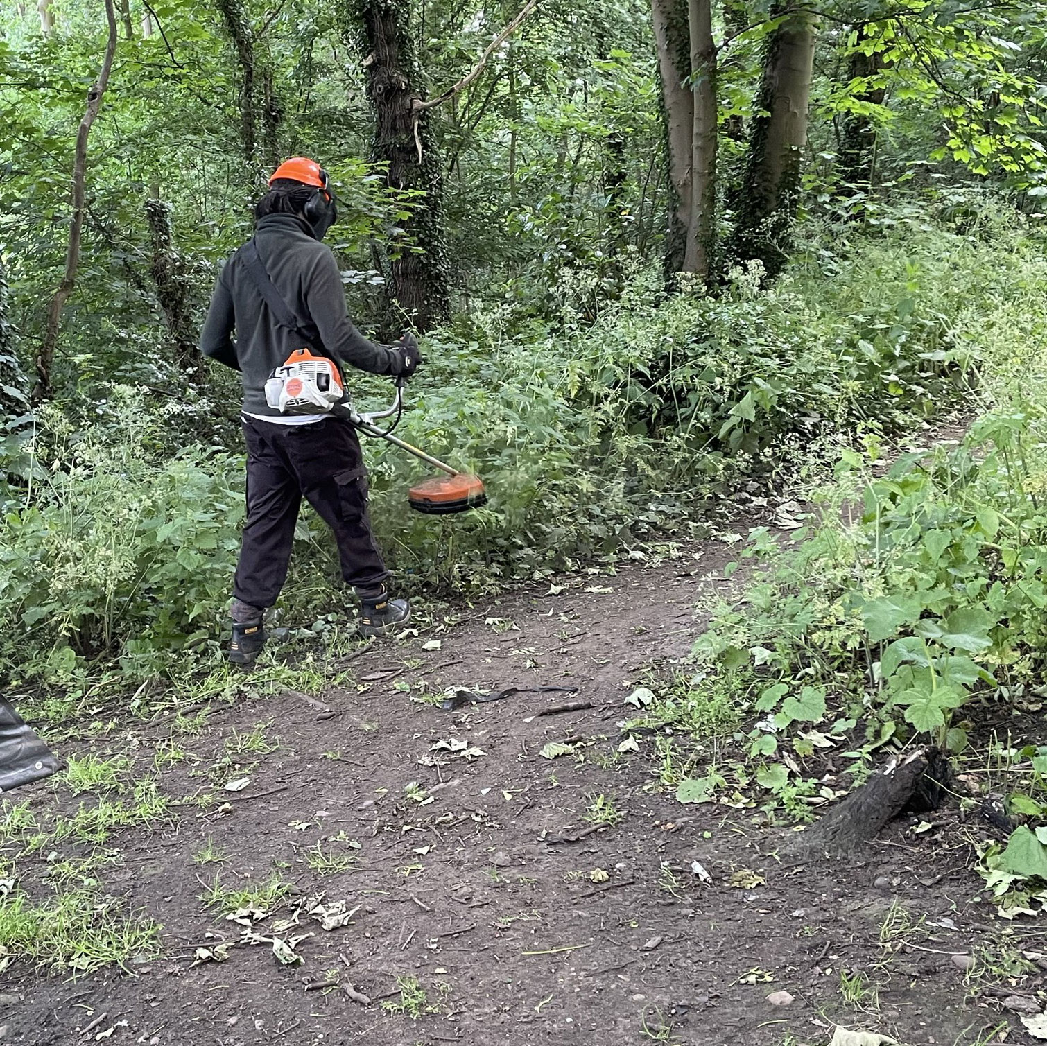 Man with strimmer in outdoor space.