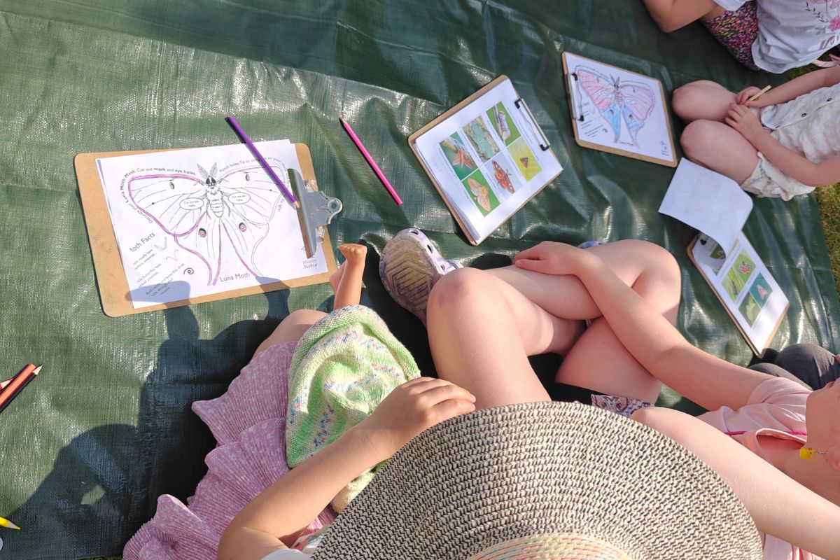 designing a moth to create with card