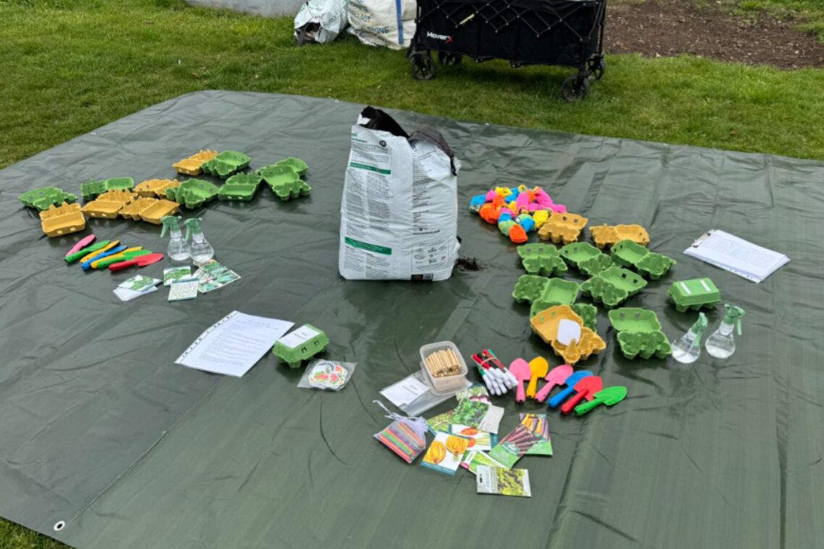 seed set making