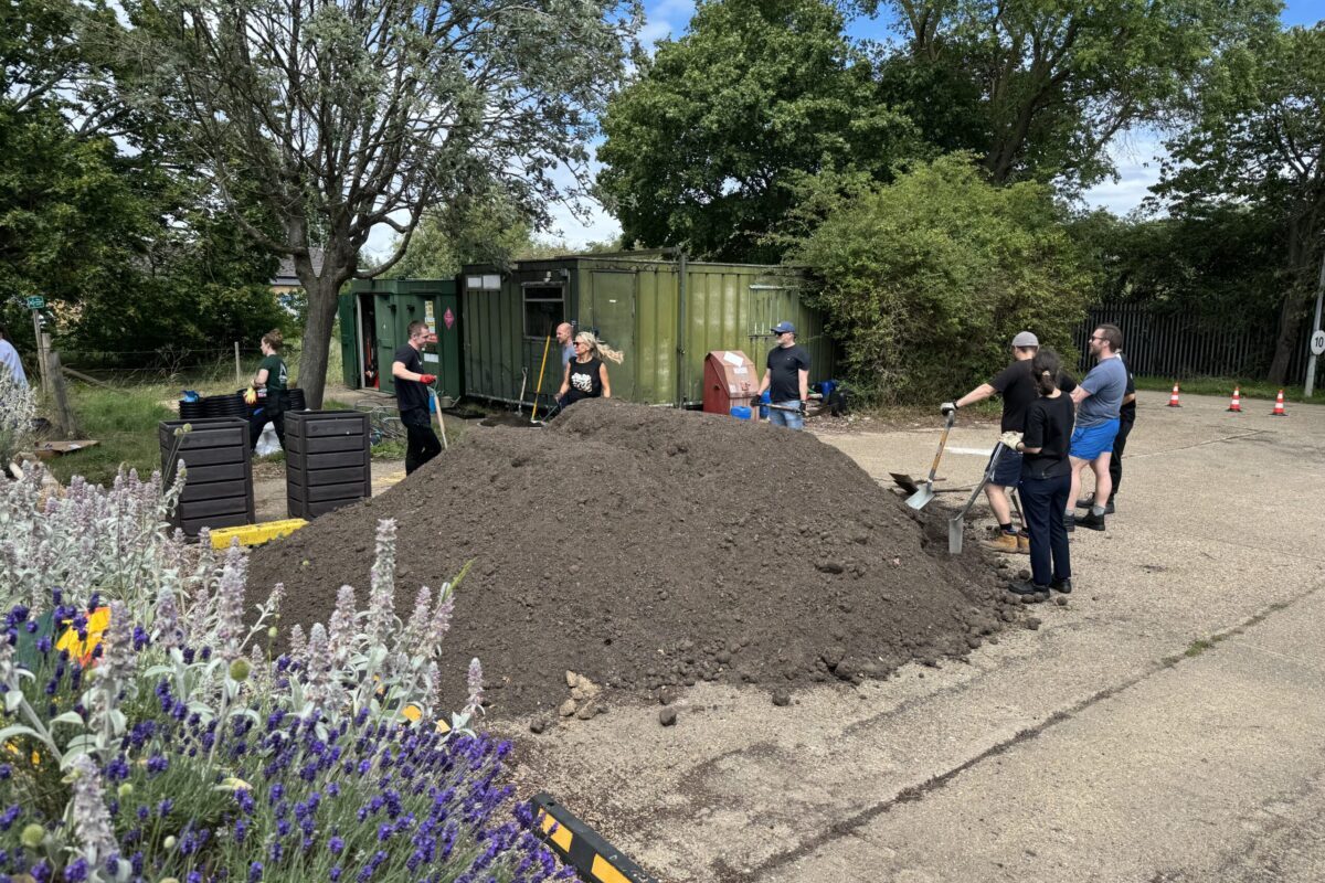 Volunteers shovelling soil into wheelbarrows