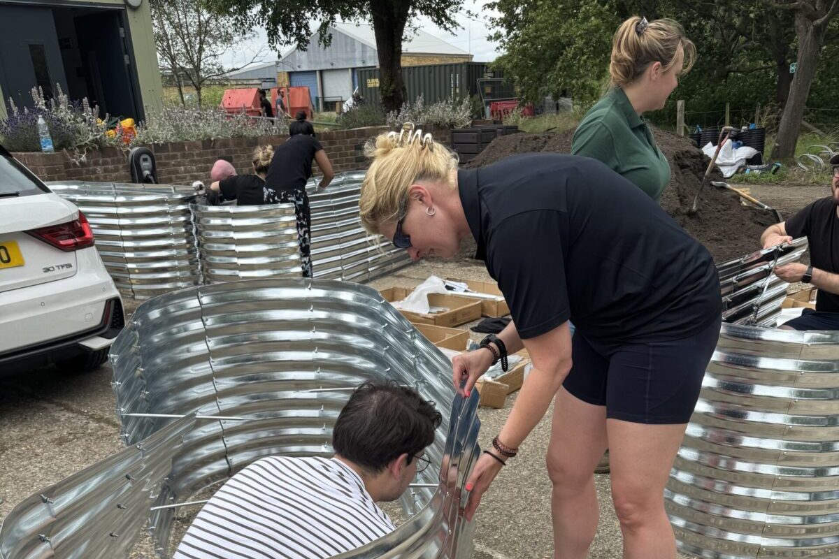 Volunteers making raised beds