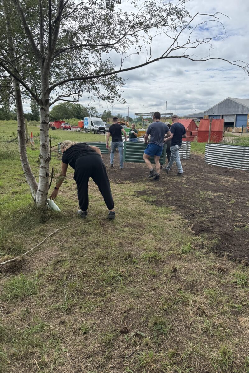 Volunteers creating raised beds