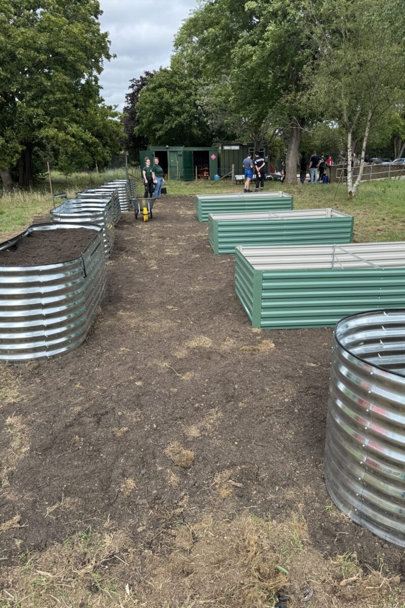 Raised beds