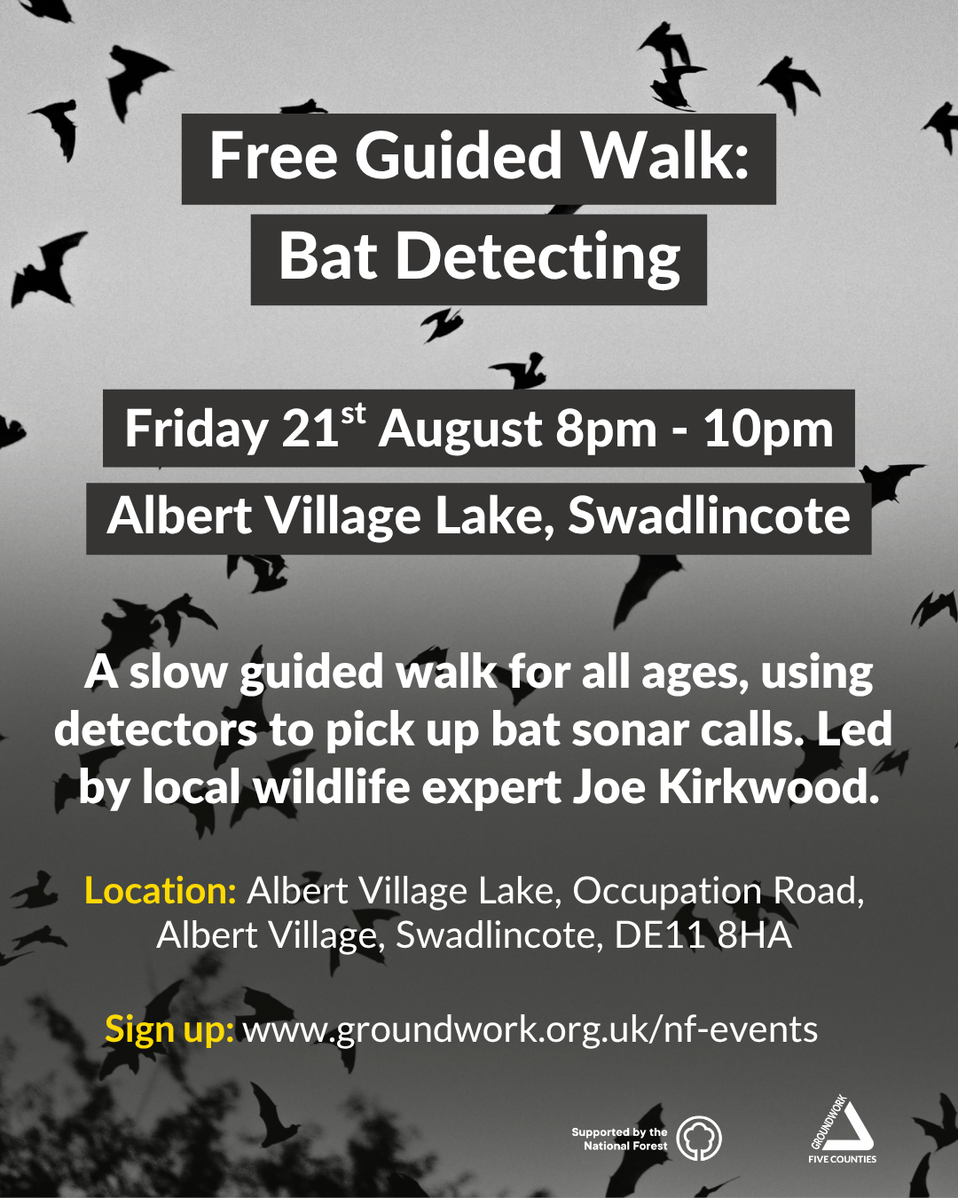 Poster with photo of bats flying against grey sky. Black and white text 'free guided walk: bat detecting' with information about event and logos.