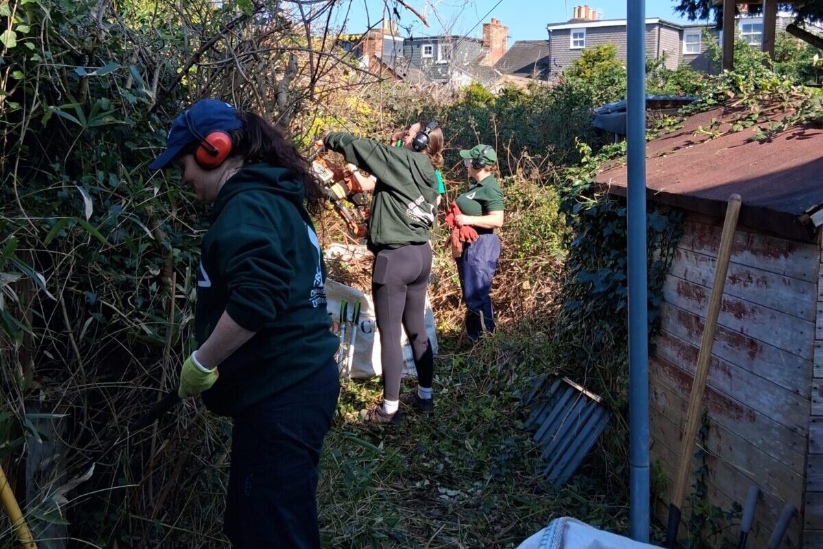 Volunteers clearing an overgrown garden