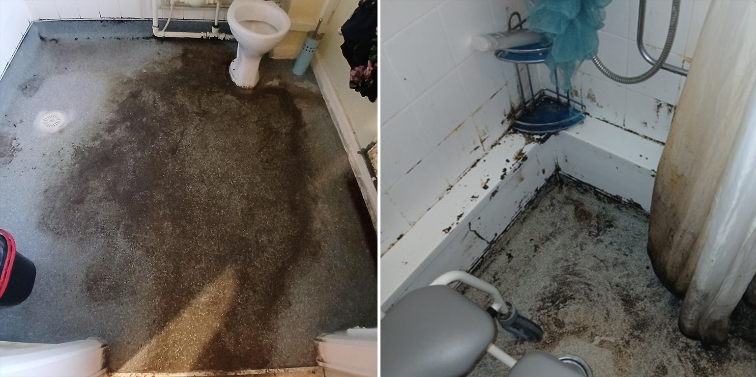 Collage of two photos showing black mould in bathrooms, near toilet and in shower.