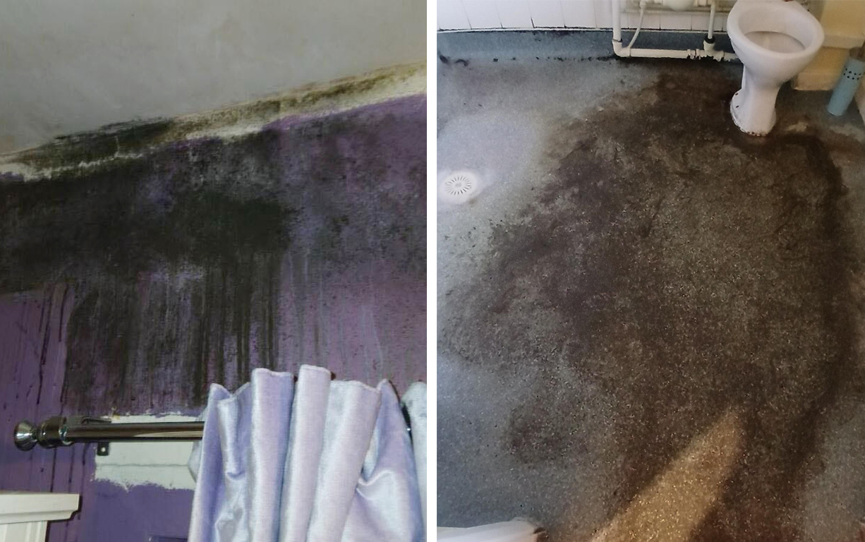 Collage of two photos showing black mould on a purple bedroom wall and on bathroom floor.