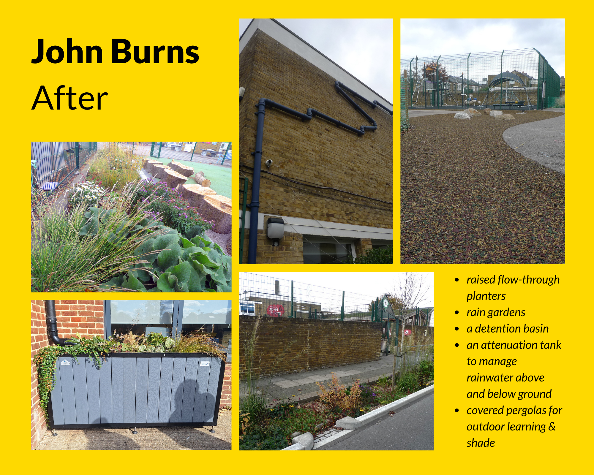 St Johns Primary School SuDS Retrofit improvements were abundant and beautiful