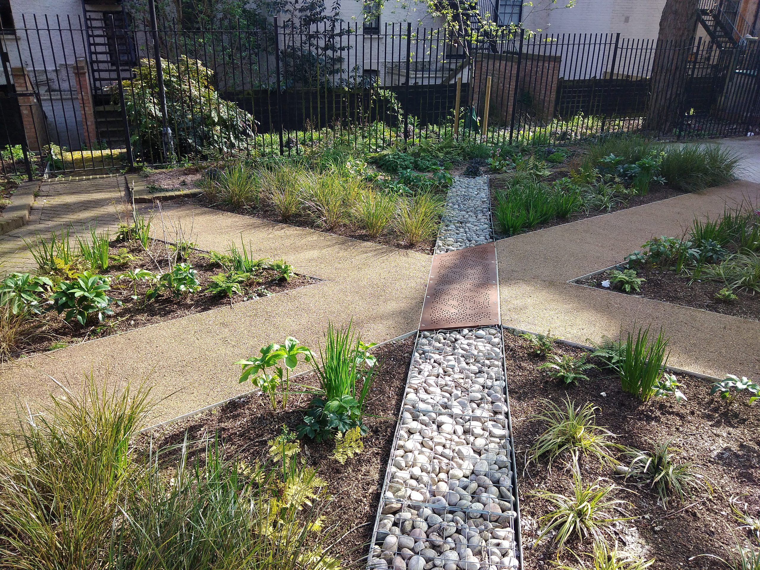 Rain gardens are both productive and pretty solutions for effective water drainage
