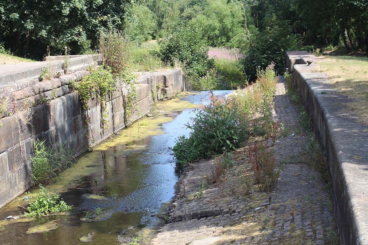 Historic canal lock chamber on the Sankey Canal in Sankey Valley, with stone walls, shallow water and native vegetation growing along the canal edge.