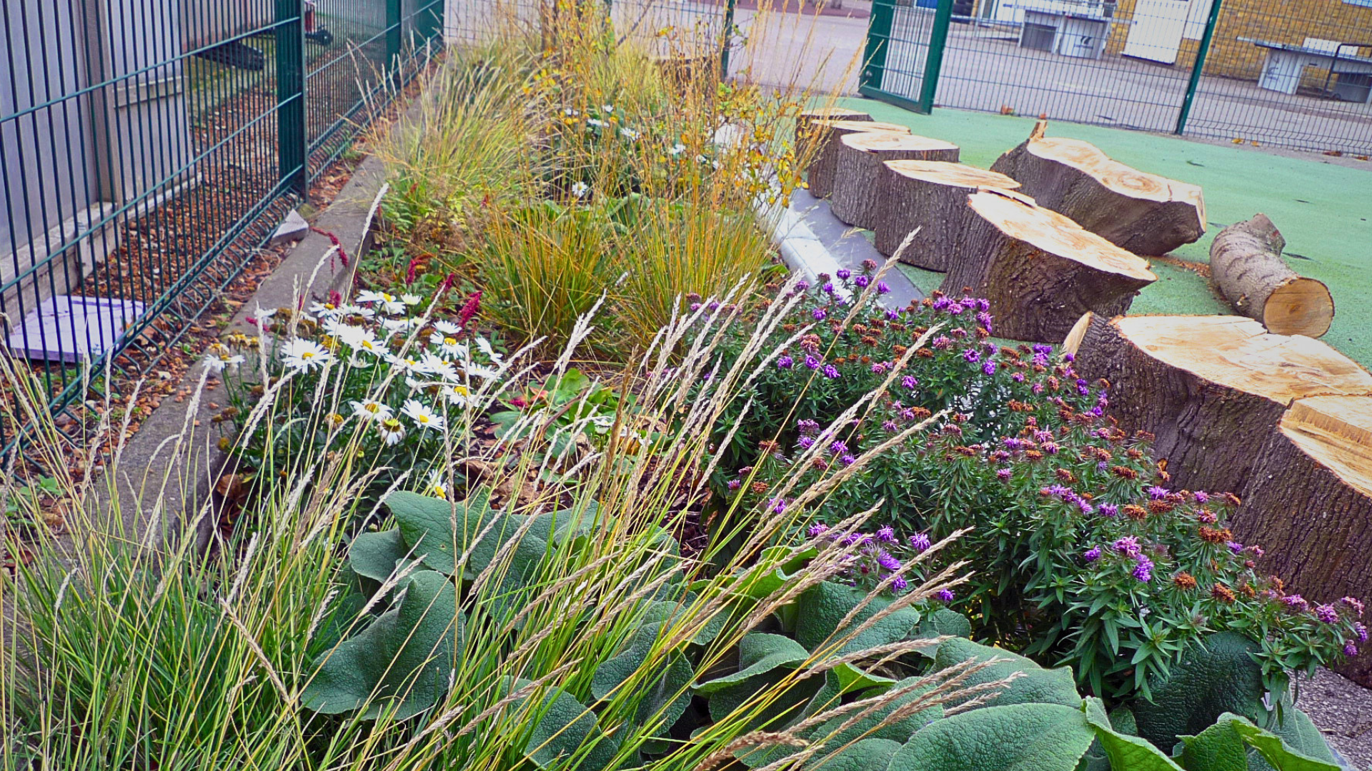 Following the Water: Lessons from Groundwork London’s SuDS Retrofit Journey 