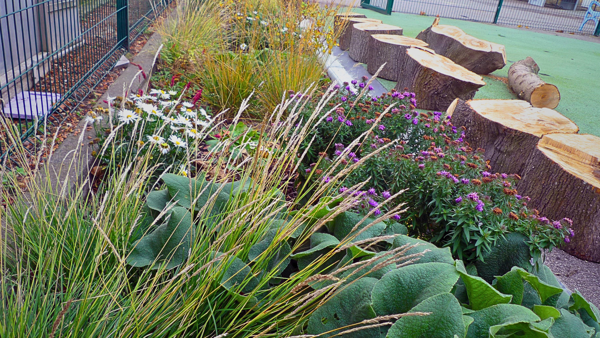 Following the Water: Lessons from Groundwork London's SUDS Retrofit Journey