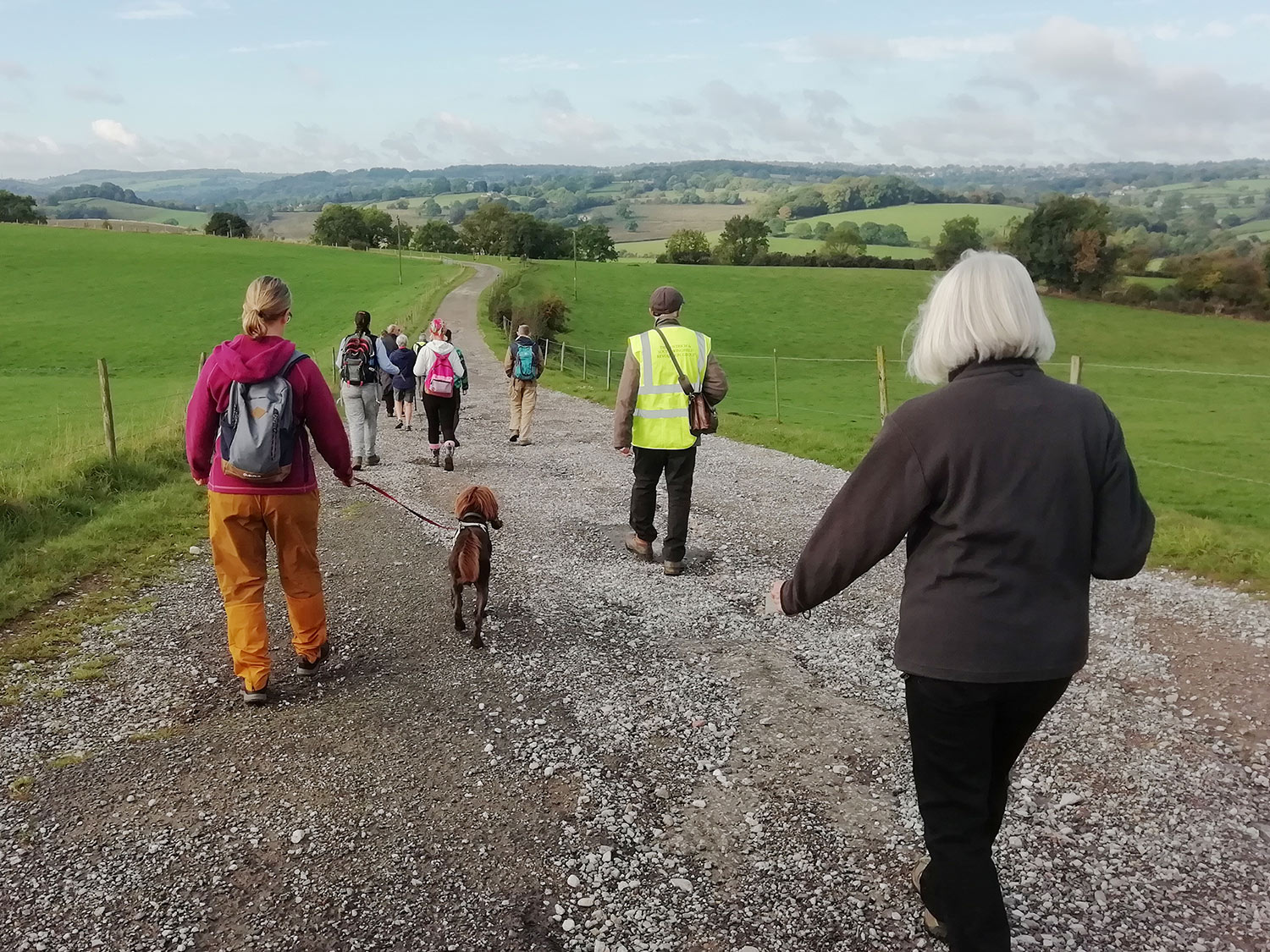 Group of people and a dog walking, with rolling hills in background