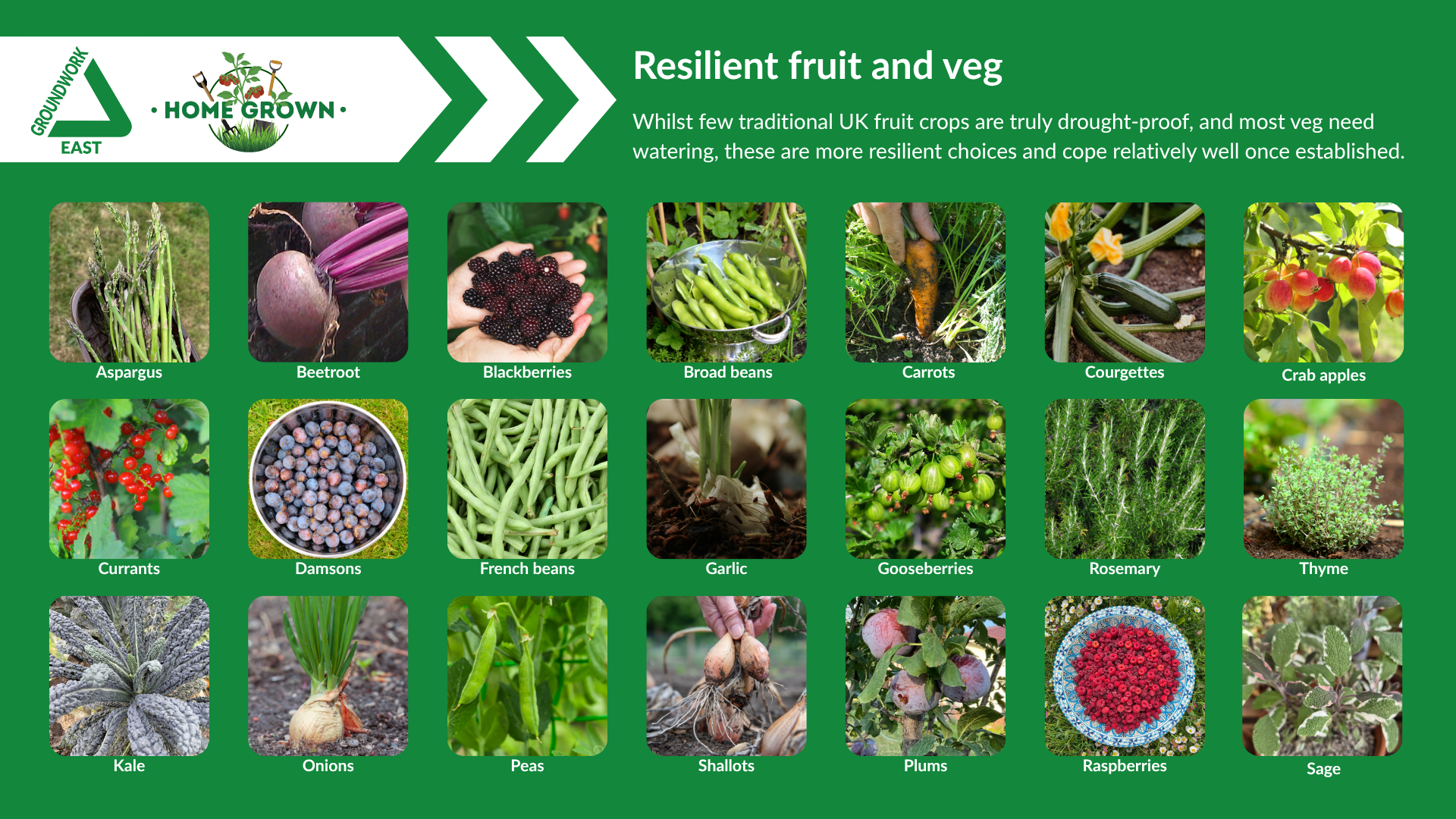 resilient fruit and veg poster