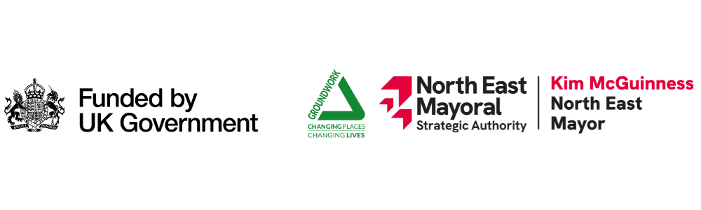 North East Economic Inactivity Trailblazer VCSE Small Grants programme lock up logo